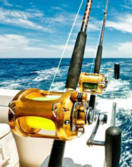 Newstar_Weihai Xinxing Fishing Tackle Co., Ltd.